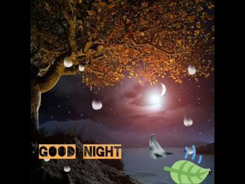 Good night wishes