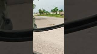 Download lagu Mandra mp3