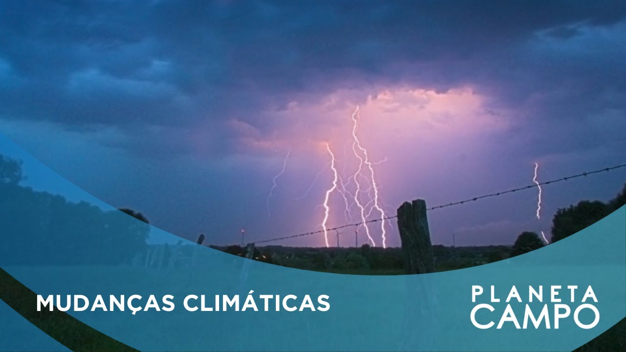 COP: como a Conferência Mundial do Clima impacta o agronegócio brasileiro?
