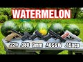 Pistols VS Watermelons 22lr 380 9mm 40S W 45ACP Comparison