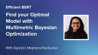 Efficient BERT Full Talk: Find your Optimal Model with Multimetric Bay