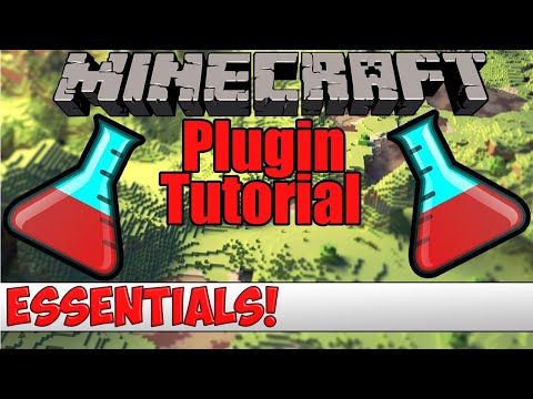 The most important minecraft plugin is here!