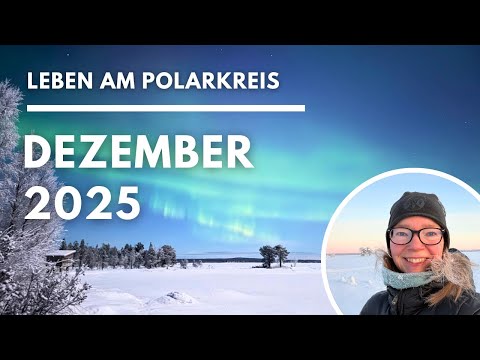 🇸🇪 December 2025: New arrivals, Northern Lights explosion and quiet days