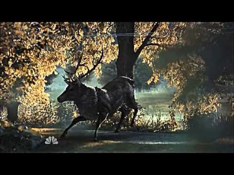 Ravenstag video