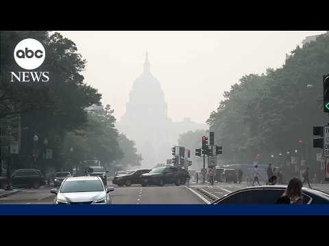North American wildfire smoke impacts flights, air quality