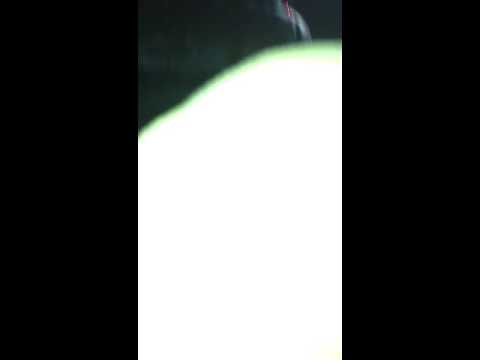 Happy Birthday Frankie