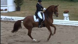 Heike Kemmer en stage au Haras de Malleret