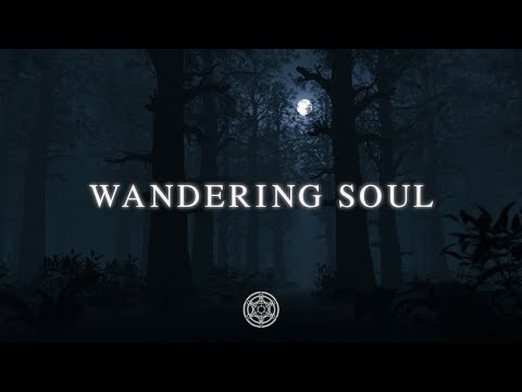 Sentinel Complex - Wandering Soul