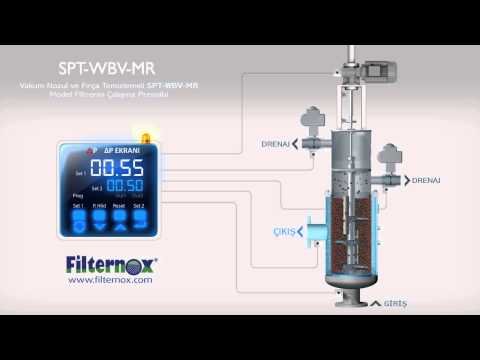 SPT-WBV-MR