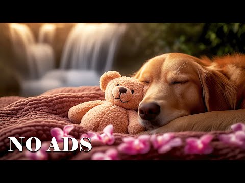 ¡12 HORAS de música de ansiedad profunda por separación para relajar a los perros! Ayudando a 4 mill