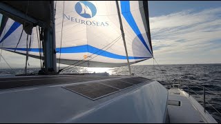 Used sail Catamaran for sale: 2019 Dufour 48