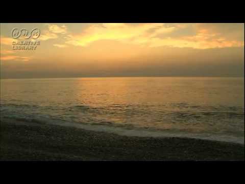 Ebb Tide(ひき潮)-Robert Maxwell-武富武馬(cover)