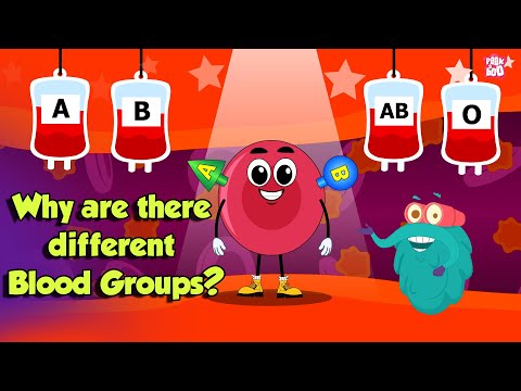 Types Of BLOOD GROUPS | Why Are There Different Blood Groups? | Dr Binocs Show | Peekaboo Kidz
