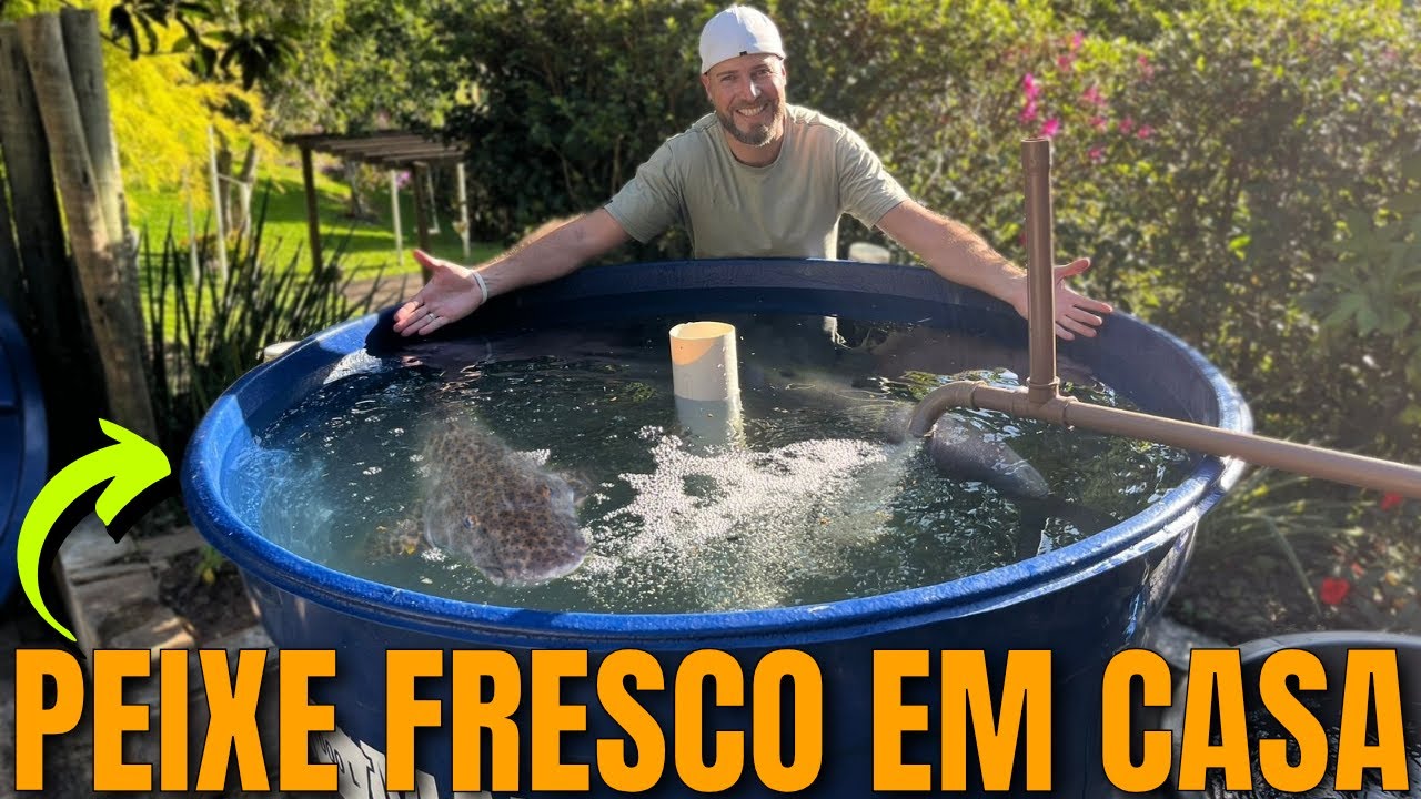 CRIAÇÃO DE TILÁPIA EM CAIXAS D'ÁGUA completo com OVERFLOW e AERADOR