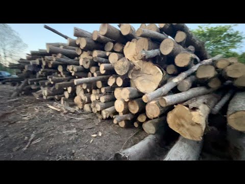 One man..One month..100 FACE CORD