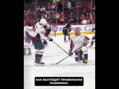 Кокошки #ovi #ovechkin #ovigr8 #александровечкин