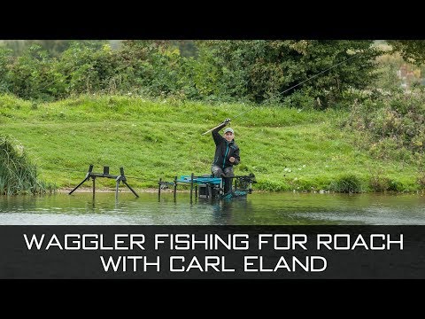 Waggler Fishing For Roach - with Carl Eland