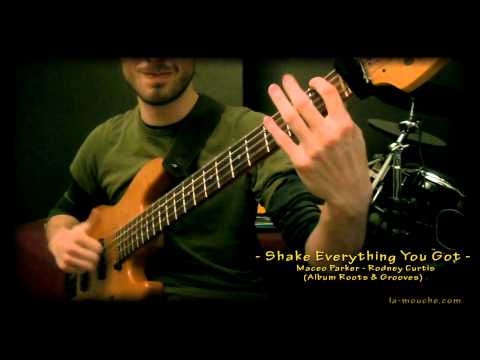 [Bass Cover] Shake Everything You Got - Maceo Parker / Rodney Curtis [Francois Lamouche]