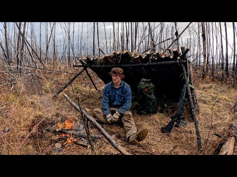 Bushcraft Camping in Charred Forest Remains 