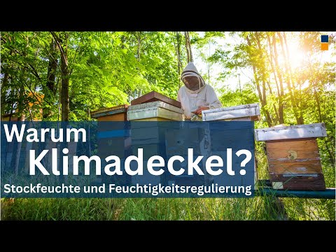 Wärme und Klimamanagement in Bienenbeuten - Feuchtigkeitsregulierung und Klimadeckel - Folge 4