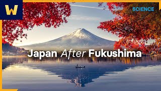The Lead-Up and Aftermath of Fukushima | Modern Japanese History