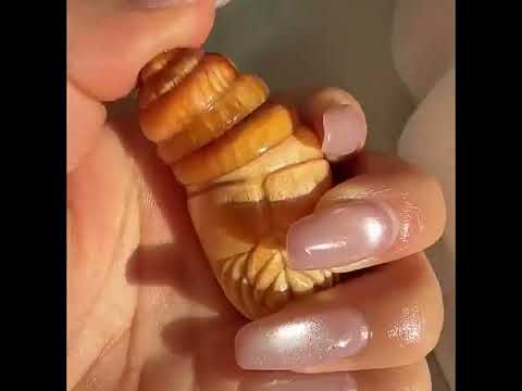 The best stress reliever📌