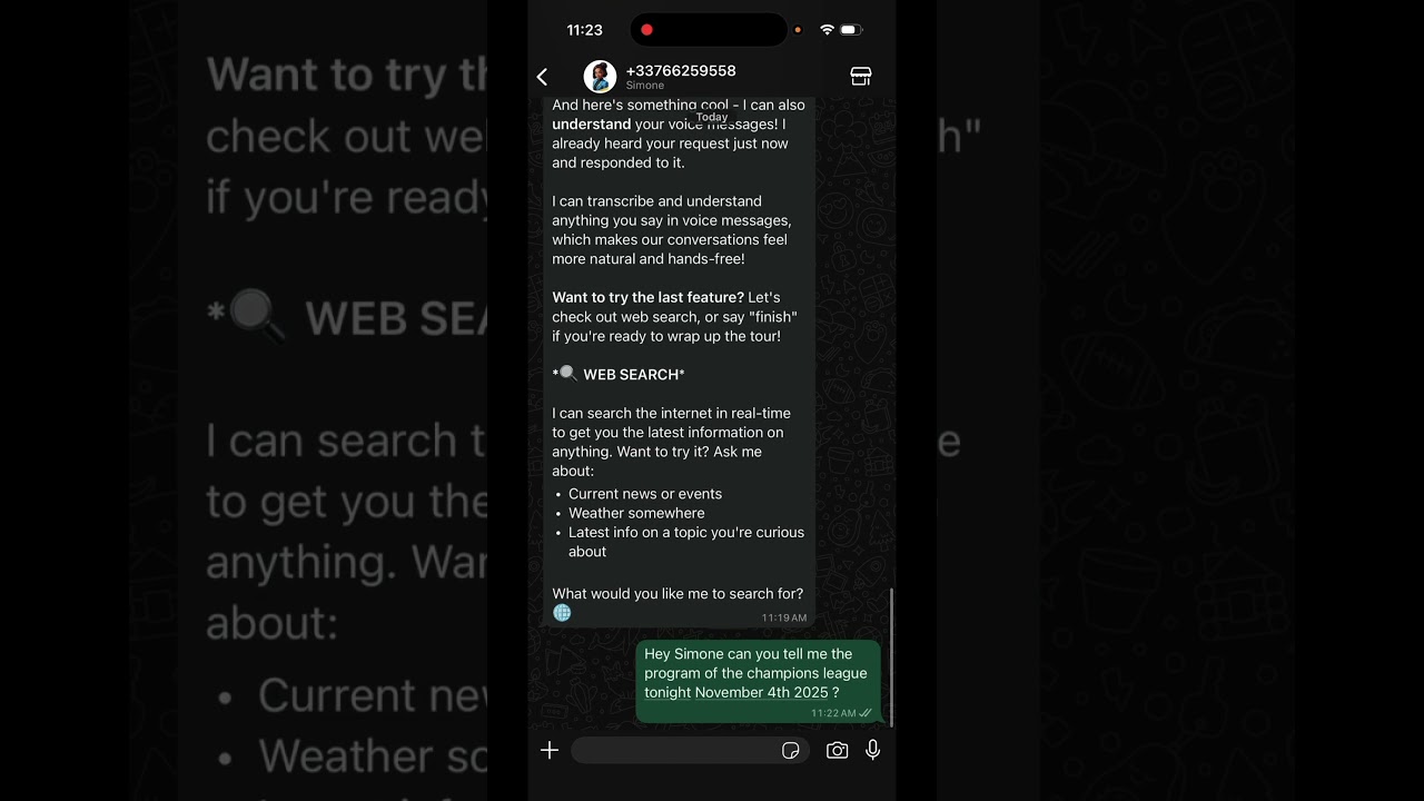 How to Do Real-Time Web Searches with Simone