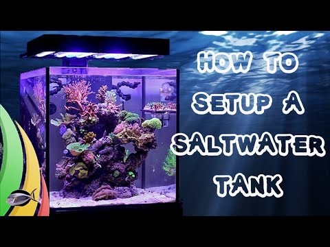 How To Set Up A Saltwater Fish Tank / Aquarium