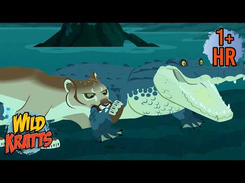 Florida Panther vs Alligator | Wild Kratts | Scholastic International