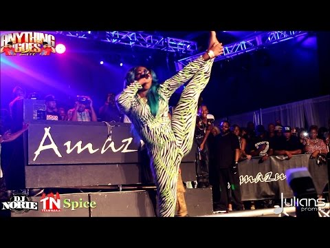 2014 DJ Norie Anything Goes Live Labor Day Highlights - Spice, Tessanne Chin, Beenie Man (Official)