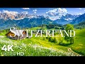 A Moment Of Spring Life In Switzerland Discover The Beauty Of Swiss Countryside In 4K