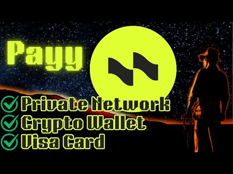 This Crypto App Lets You Be Your Own Bank! (Payy)