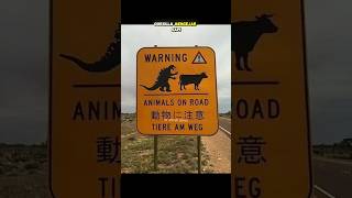 Download lagu TANDA PERINGATAN PALING ANEH YANG DI TINGGALKAN #fitrahsurya #viral mp3