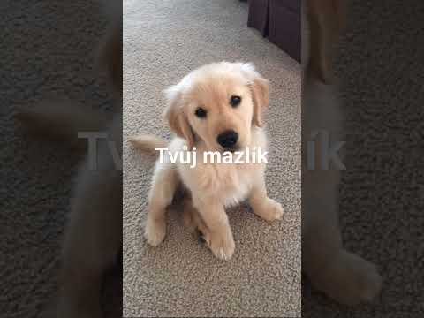 Tvůj život podle jména Tereza #tereza#jmena#shorts