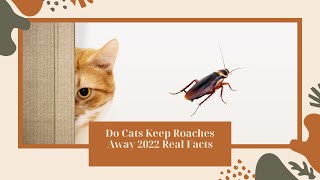 Do Cats Keep Roaches Away? Real Facts