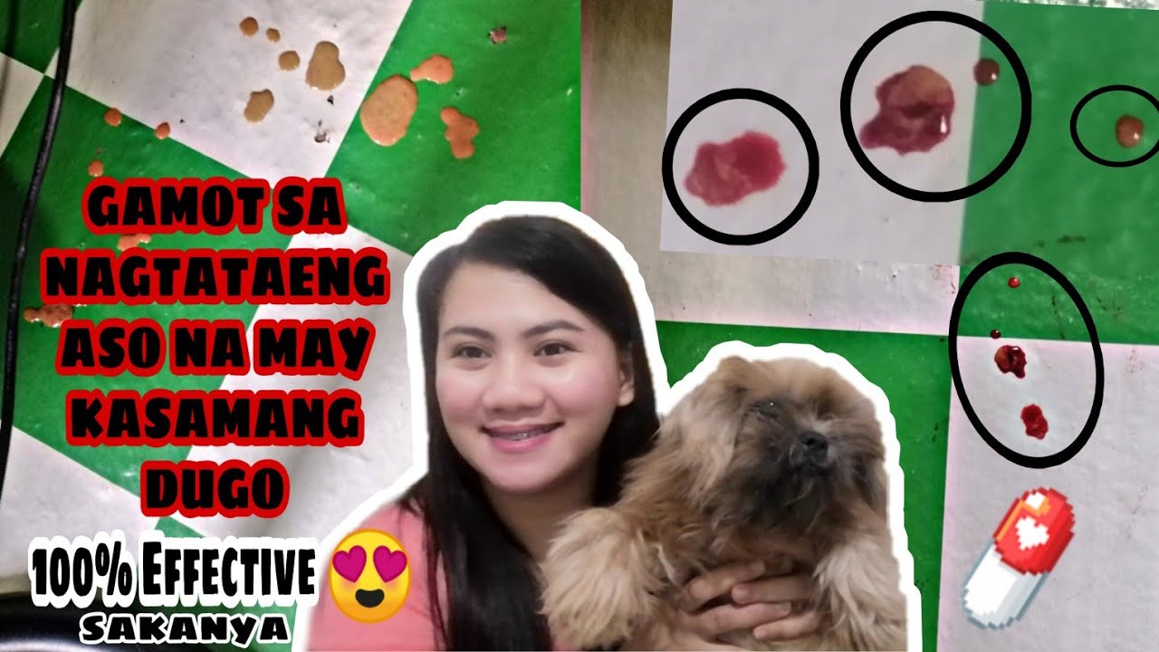Putar video GAMOT SA ASONG NAGTATAE NA MAY KASAMANG DUGO‼️SUPER EFFECTIVE NG GAMOT. HUMINTO AGAD😍 sekarang GAMOT SA ASONG NAGTATAE NA MAY KASAMANG DUGO‼️SUPER EFFECTIVE NG GAMOT. HUMINTO AGAD😍