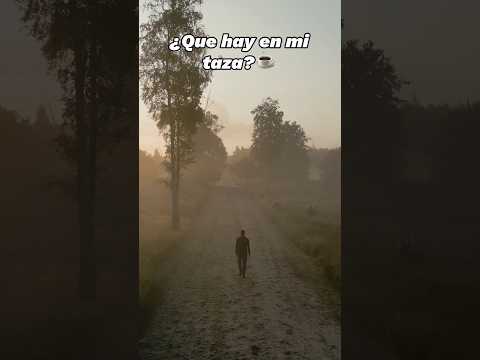 Video relacionado