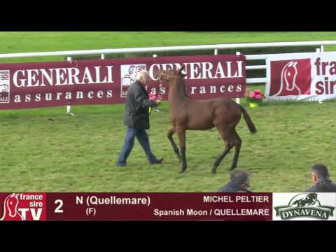 Show AQPS 2015 : lot 2 - N - F15 - Spanish Moon & QUELLEMARE