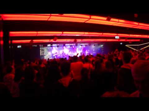 Akvárium Klub Hungariddim - Ocho Macho