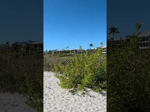 Sea Grape Ln Gulfside Dunes - #beach #sanibel #sanibelisland #waves #surf #shells #lighthouse