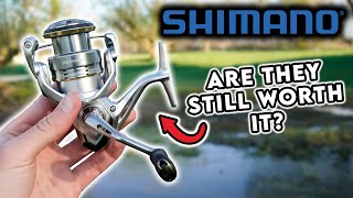 Shimano Sedona FJ Full Review: My Opinion Has Changed...