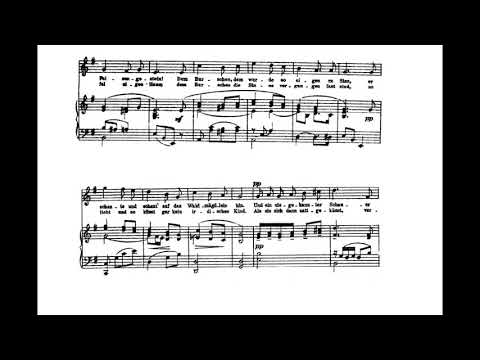 Vilja Lied (Die lustige Witwe - F. Lehár) Score Animation