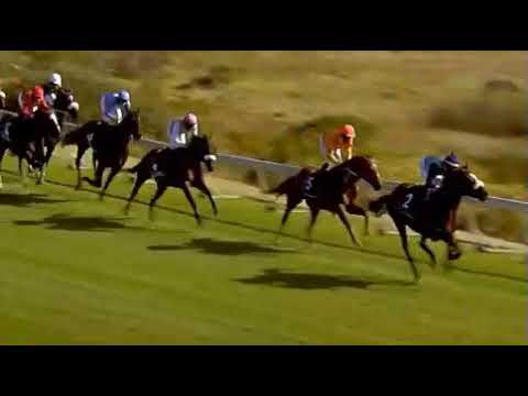 2019 Sun Met - Rainbow Bridge