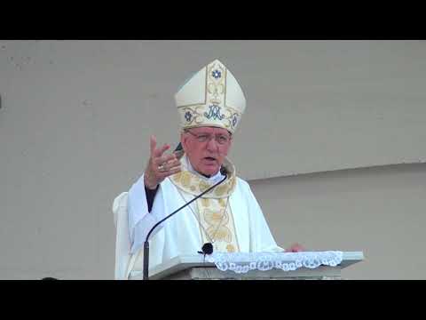 Požeško hodočašće 21.8.2018. -  Propovijed biskupa Škvorčevića