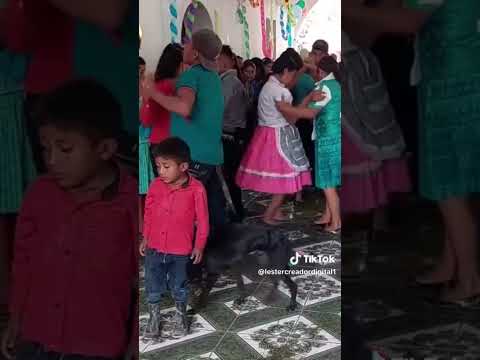 Baile area chorti jocotan chiquimula Marimba sonora quetzal#baile #marimba502#bailaso#tradiciones