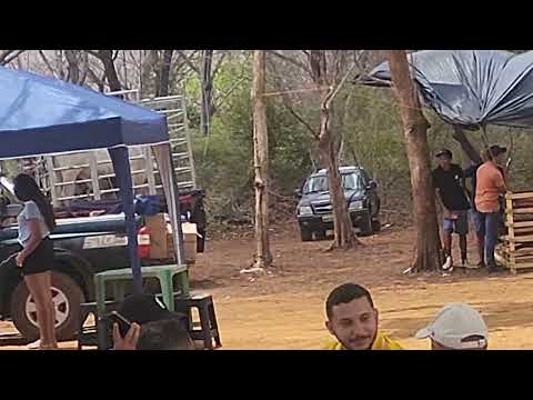 Primeira Feita agropecuária de Barra d Alcântara  hoje 31 11 2025 , feira de animais,  máquinas  etc