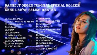 Download lagu KOLEKSI ALBUM DANGDUT BASS SUPER JERNIH 2022 KENDANG RAMPAK MANTAP mp3 Download lagu KOLEKSI ALBUM DANGDUT BASS SUPER JERNIH 2022 KENDANG RAMPAK MANTAP mp3