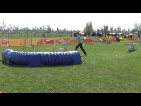 Nyuszi A2-S/1 (Kraft-Monor Kupasorozat I. - 2017.04.02.)