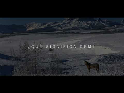 ¿Qué significa drm?