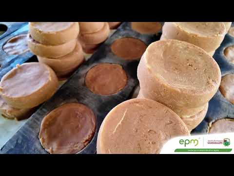 PROYECTOS PRODUCTIVOS EPM  -  GUADALUPE